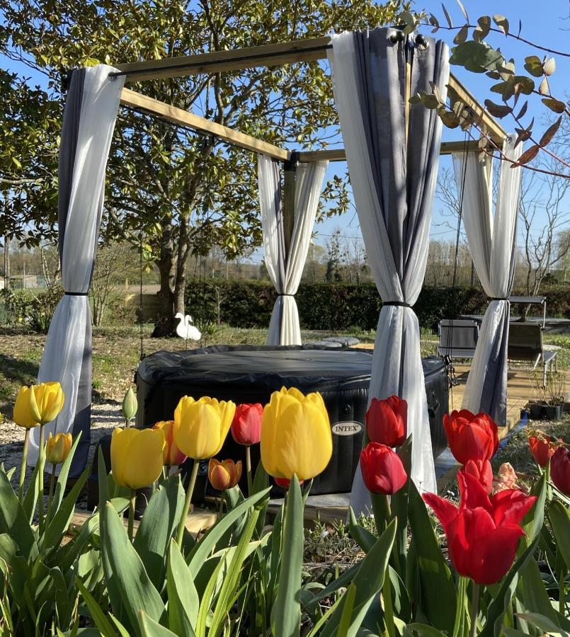 Appartamento Chez Flo Et Marc Chouzy-sur-Cisse Esterno foto