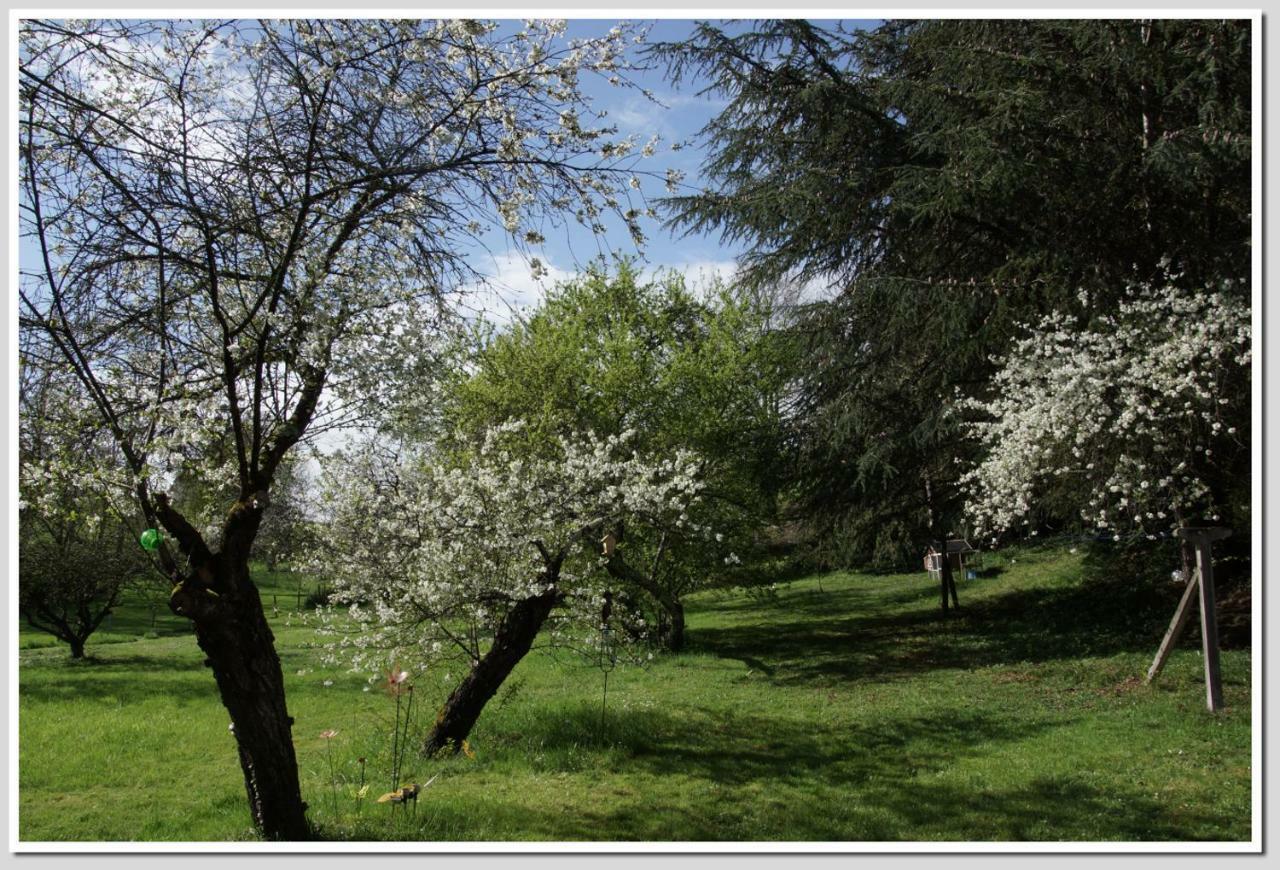 Appartamento Chez Flo Et Marc Chouzy-sur-Cisse Esterno foto