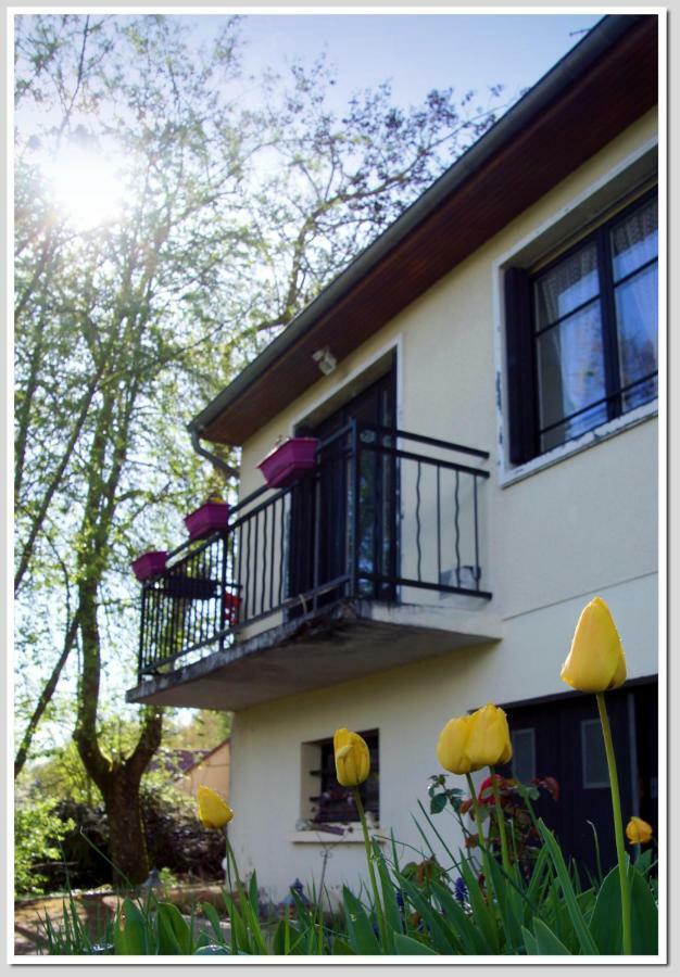 Appartamento Chez Flo Et Marc Chouzy-sur-Cisse Esterno foto
